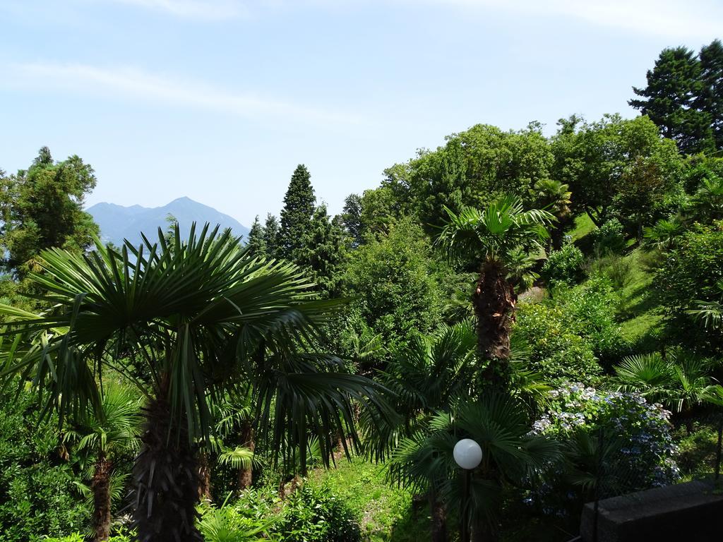 스트레사 Vista Lago 아파트 객실 사진
